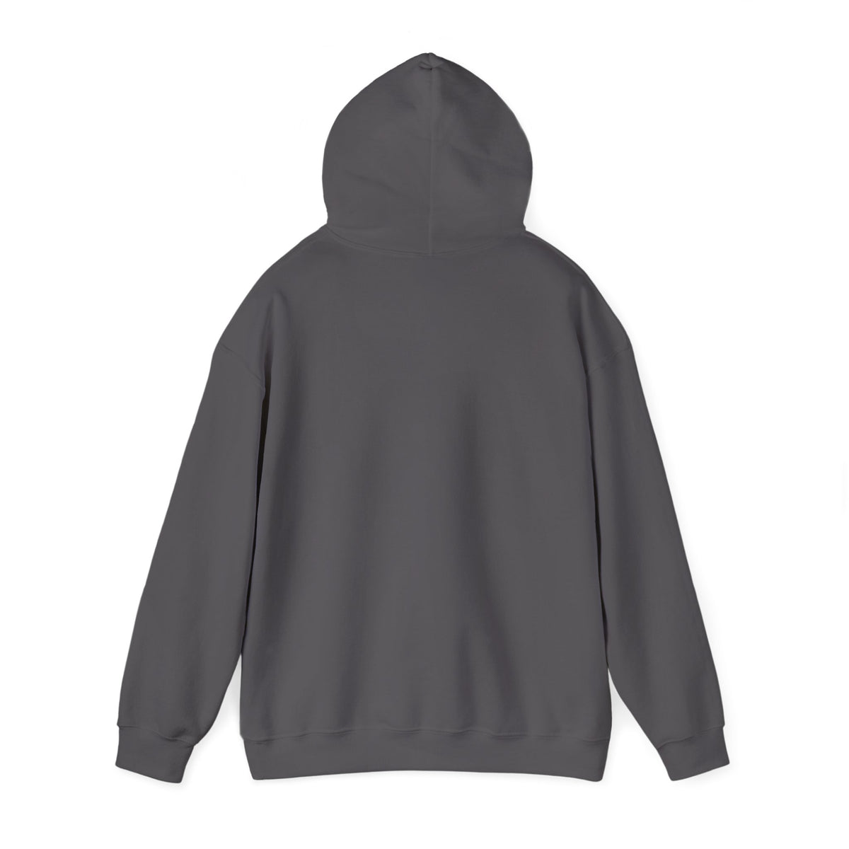Unprinted back of the Charcoal Life as a Song hoodie, with the hood up.