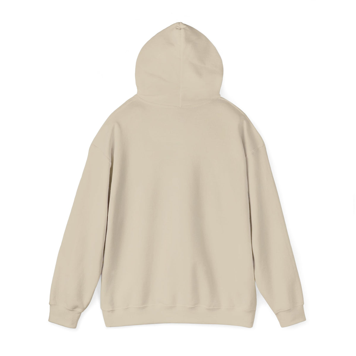 Unprinted back of the Sand Life as a Song hoodie, with the hood up.
